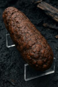 Large fossilized Viking Age coprolite displayed on acrylic supports at York excavation site