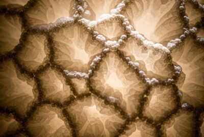 Extreme close-up of a chicken eggshell surface showing crystalline calcium carbonate structure