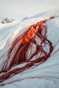Photo: The Ancient Blood Bleeding From Antarctica's Ice