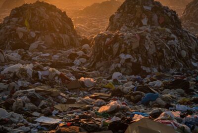Photo: The Holiday Waste Crisis Nobody Talks About