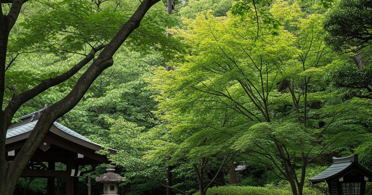 Aerial view of a thoughtfully designed Japanese park with pet-friendly amenities and greenery
