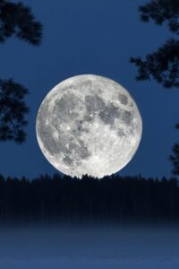 Massive Wolf Moon Supermoon rising low over a frost-covered winter forest at night