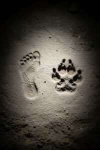 Small bare child footprints pressed into pale clay cave floor beside larger canine paw tracks