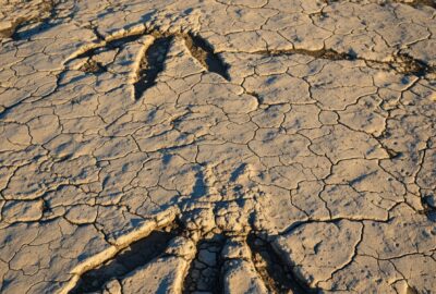 A row of giant three-toed theropod dinosaur footprints preserved in a cracked pale limestone riverbed in Texas, low gold