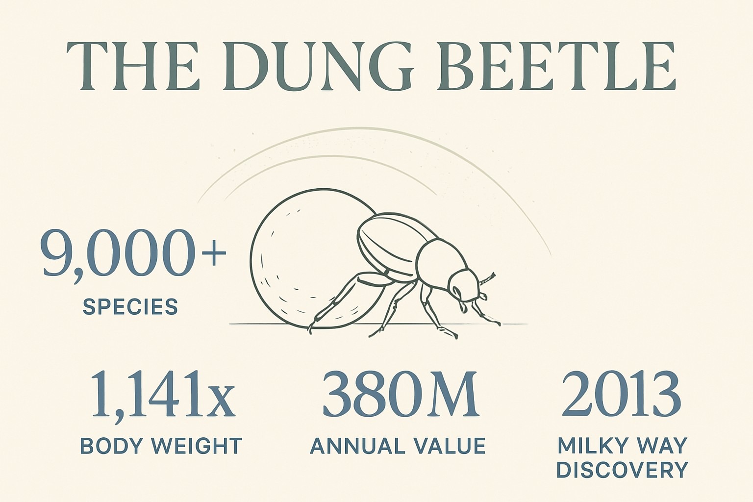 Dung Beetle Facts: The Insect Guided by the Milky Way infographic
