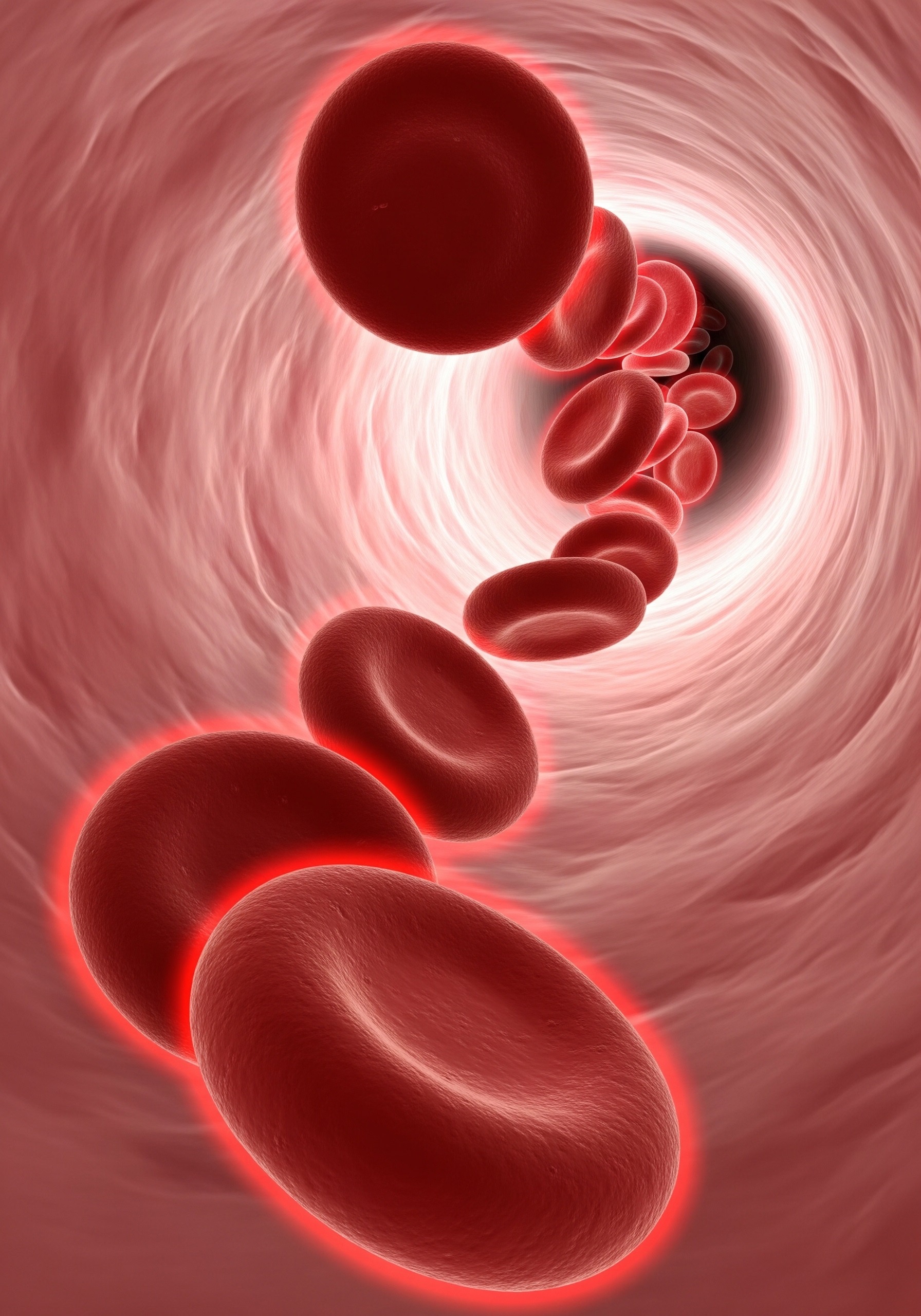 How Long Are Blood Vessels in the Human Body? Real Answer