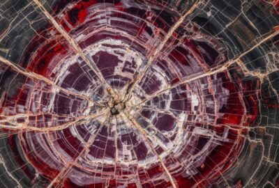 A close-up of a petrified log cross-section showing red and purple quartz growth rings