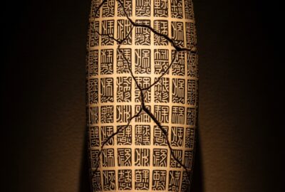 Ancient Chinese oracle bone inscriptions carved into a turtle plastron — the oldest continuously used writing system on Earth.