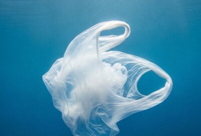 A translucent plastic bag drifting in blue open ocean water resembling a floating jellyfish