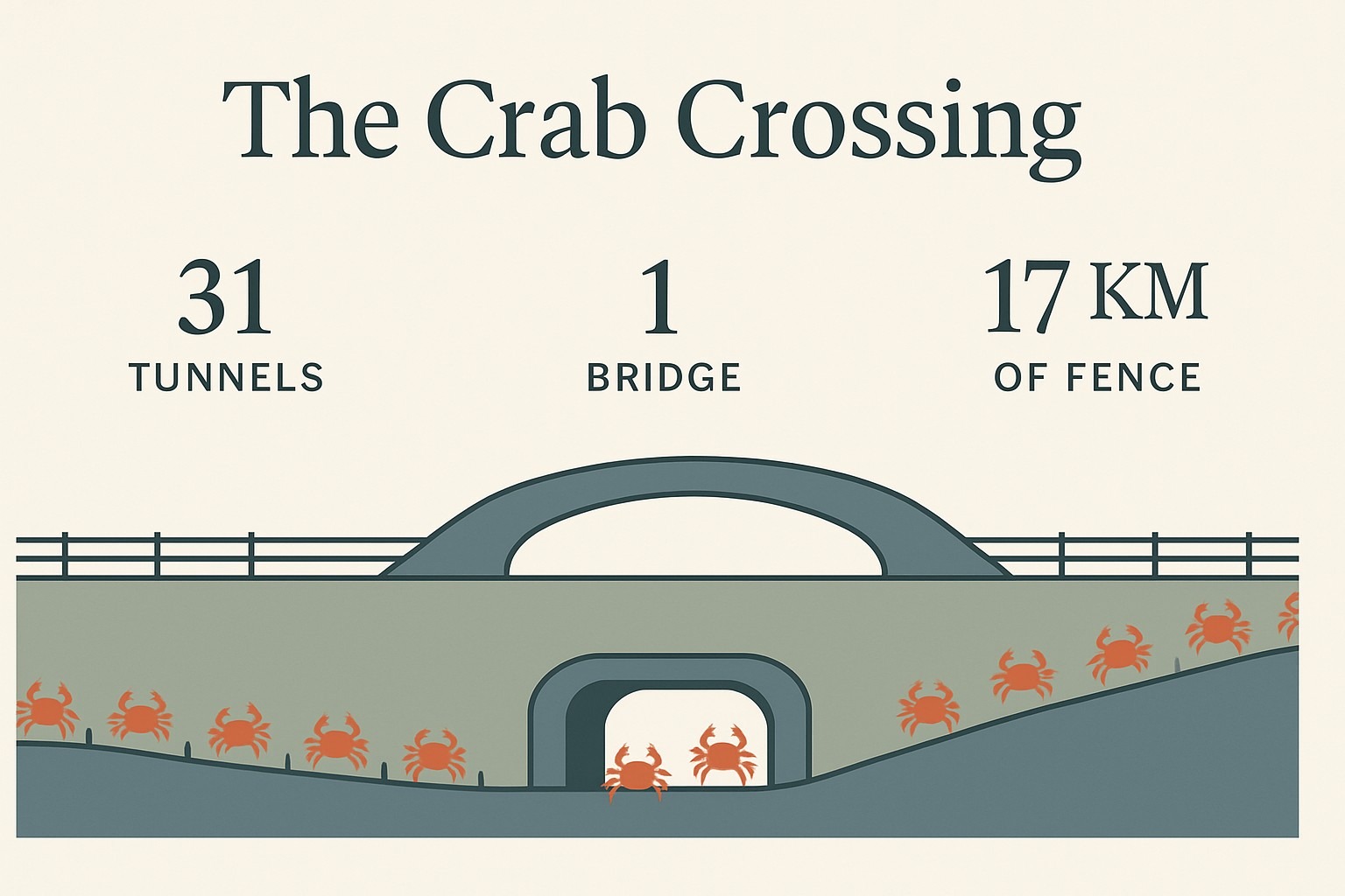 Krabí most a tunely na Vánočním ostrově, vysvětleno – infografika