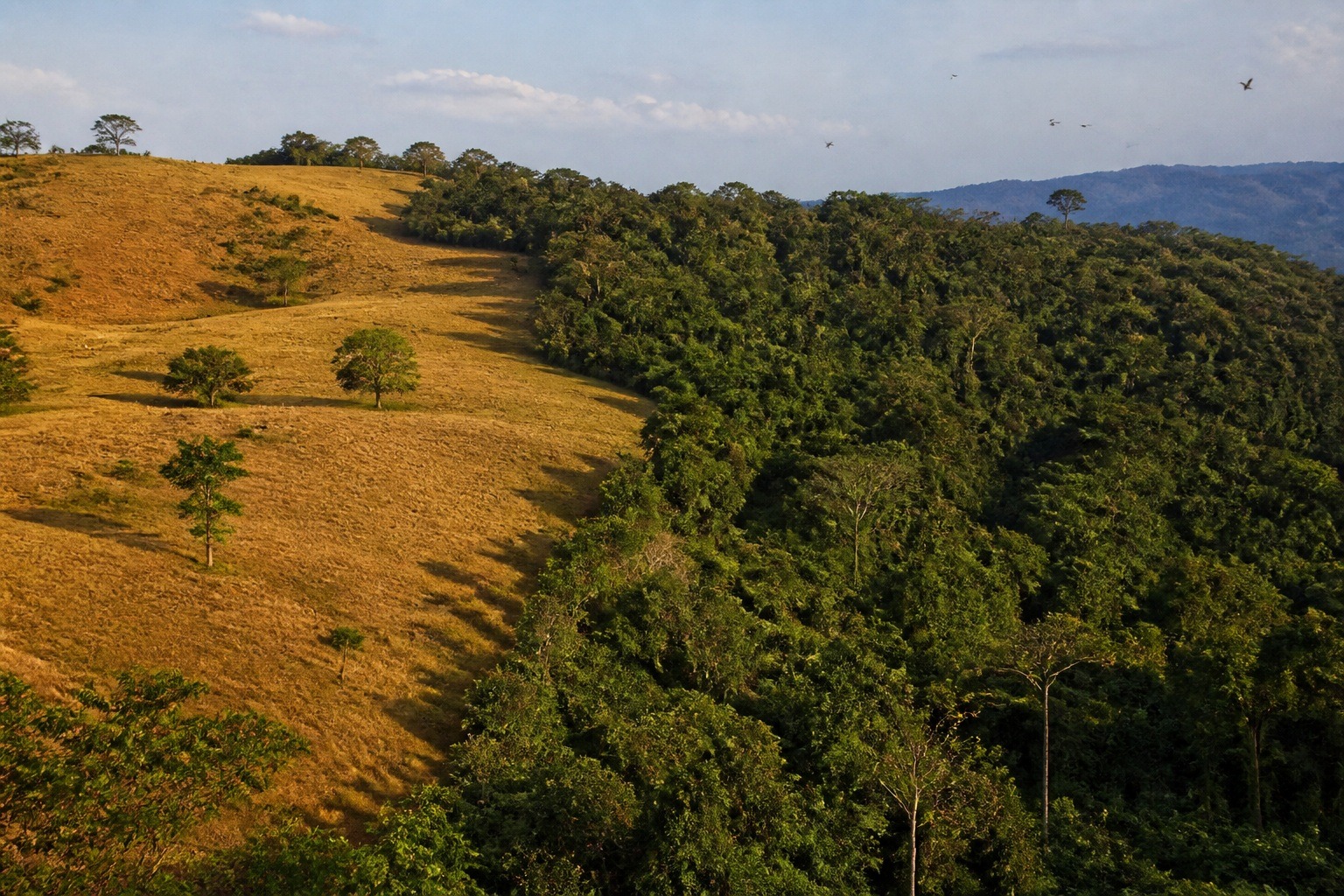 How Costa Rica Pays Farmers to Protect Forests