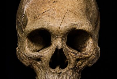 The fossilised Herto cranium BOU-VP-16/1, a robust modern human skull with a high rounded braincase, lit dramatically against a dark background