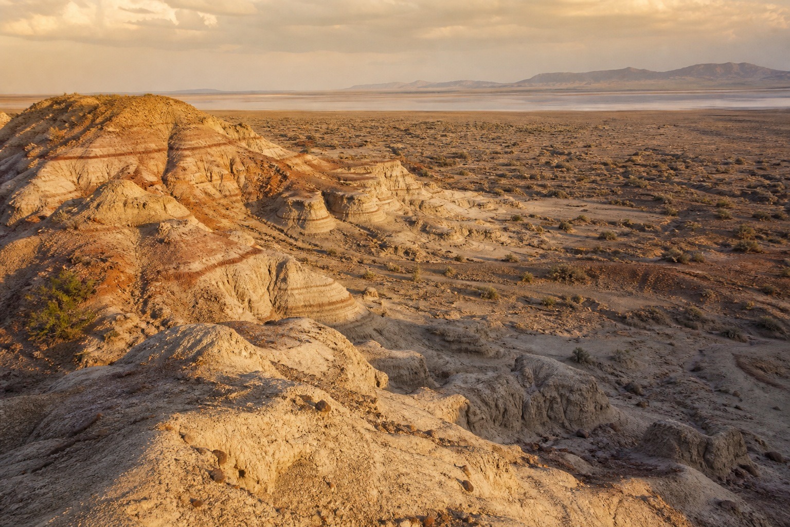 Herto Skull: The 160,000-Year-Old Human, Explained