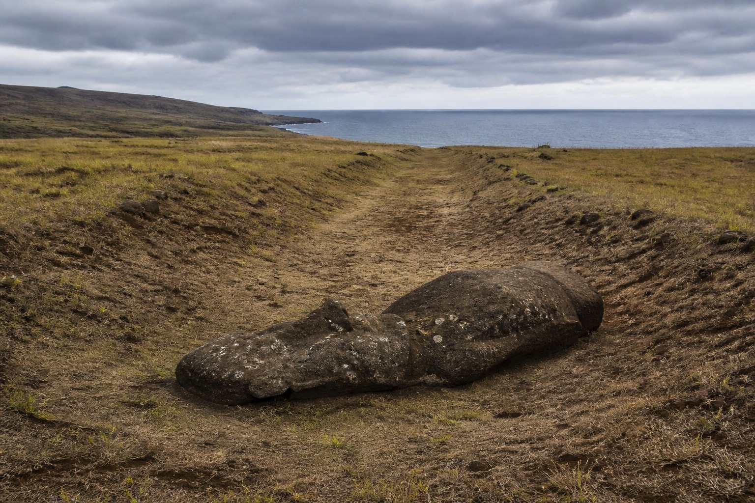 How Did the Moai Statues Move? They Walked