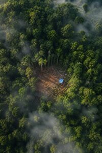 Drone aerial view of illegal logging Sumatra rainforest with a clear-cut behind intact canopy