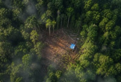 Drone aerial view of illegal logging Sumatra rainforest with a clear-cut behind intact canopy