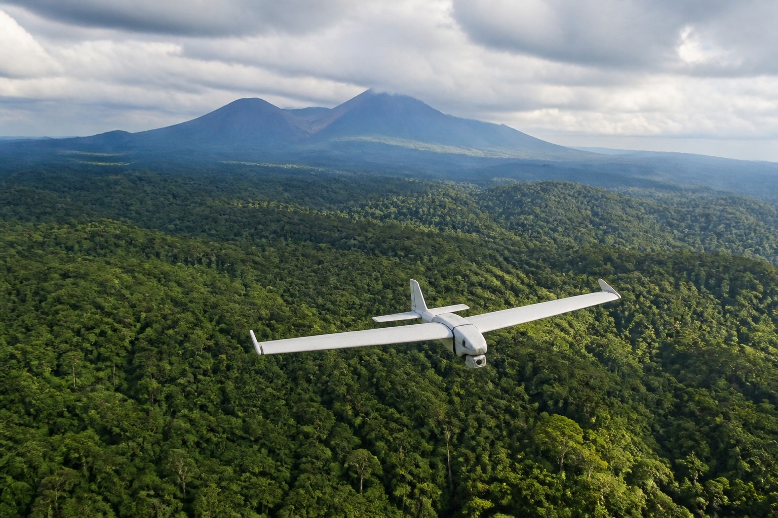 How Drones Detect Illegal Logging in Sumatra