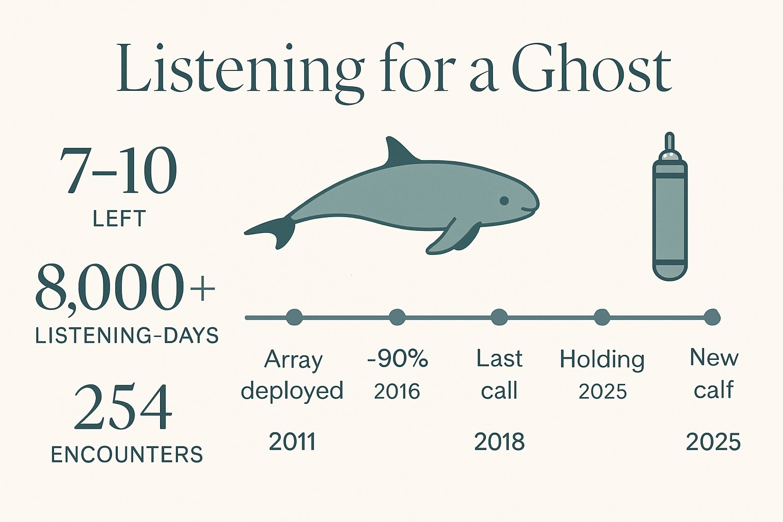 How Scientists Track the Vaquita With Sound infographic
