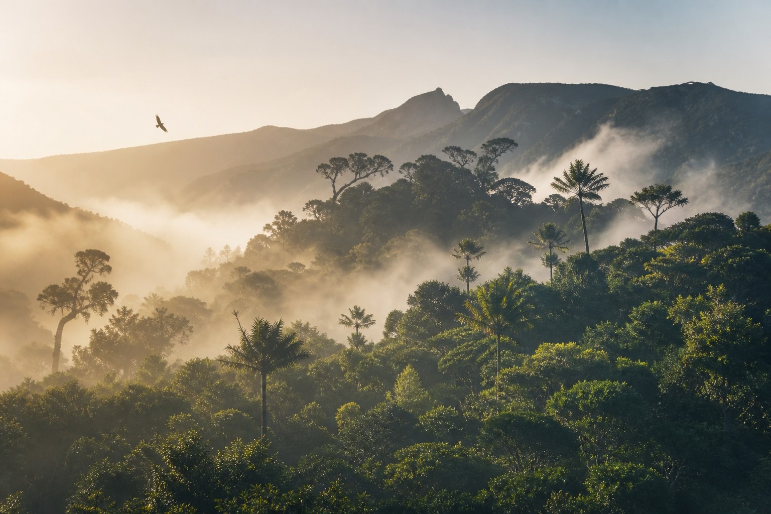How the Mauritius Kestrel Was Saved From Extinction