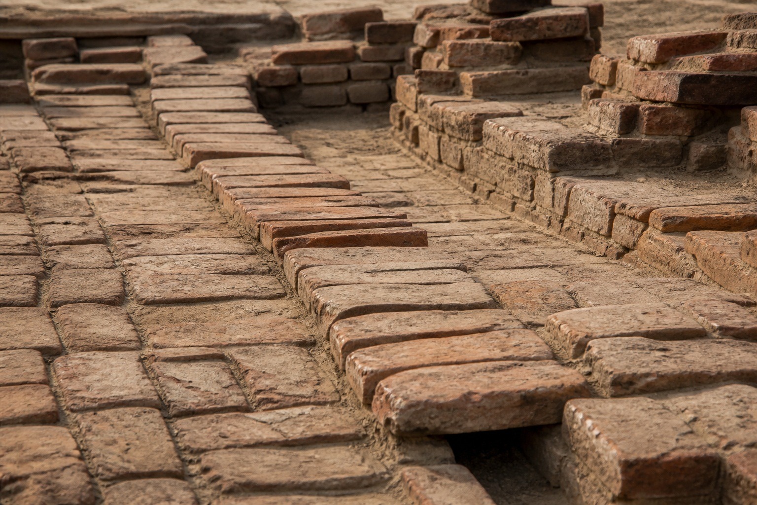 Indus Valley Toilets Older Than Roman Plumbing