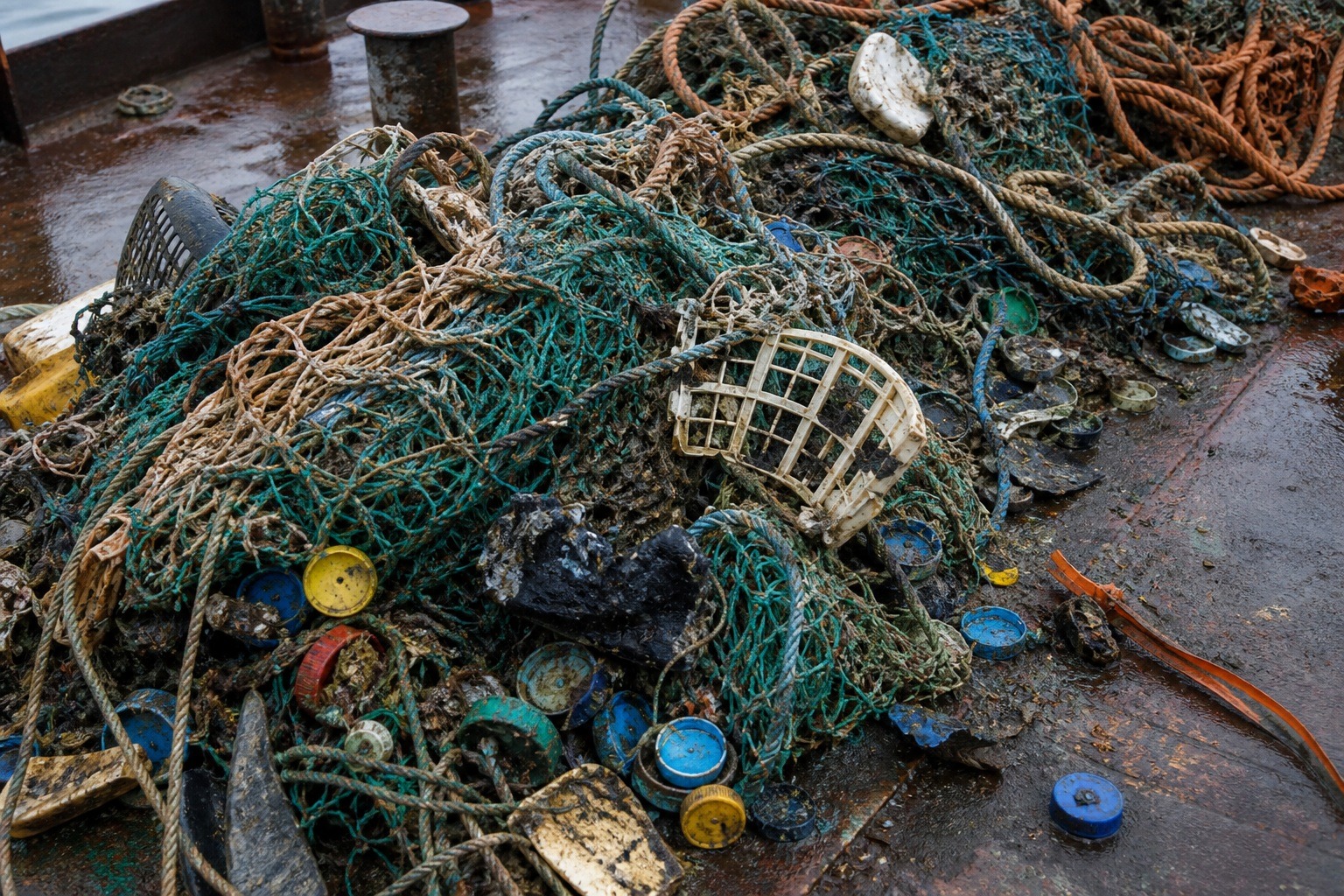 Is the Ocean Cleanup Actually Working? The Honest Math