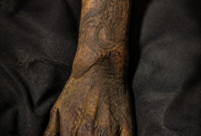 Pazyryk tattoos: preserved forearm of an Iron Age Siberian chieftain showing stylised Scythian animal-style deer
