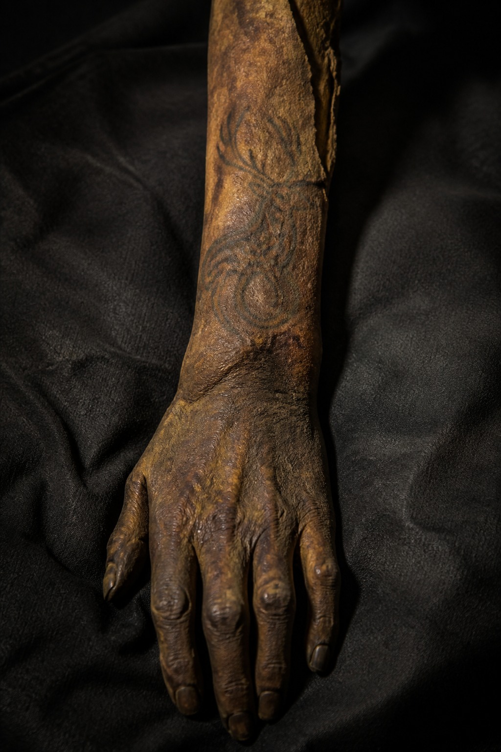 Pazyryk tattoos: preserved forearm of an Iron Age Siberian chieftain showing stylised Scythian animal-style deer