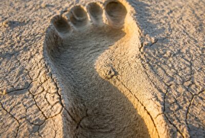 Fossilized human footprint pressed into the pale dried lakebed at White Sands National Park, New Mexico, in raking Ice Age light
