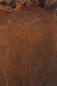 Aerial view of a giant pale Nazca geoglyph line etched into the rust-red desert floor of southern Peru at dawn
