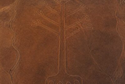 Aerial view of a giant pale Nazca geoglyph line etched into the rust-red desert floor of southern Peru at dawn
